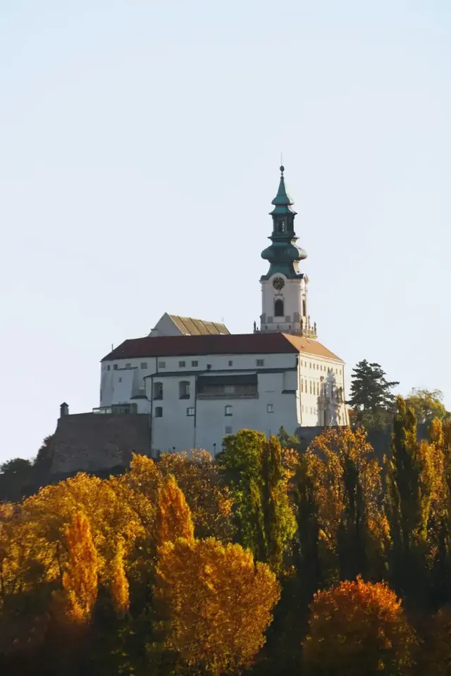 Sťahovanie v okolí Nitre